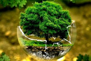 Meaningful-efforts-for-environmental-protection